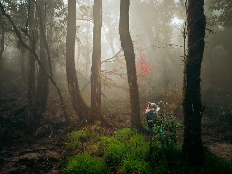 Fansipan Mountain Exploration Tour